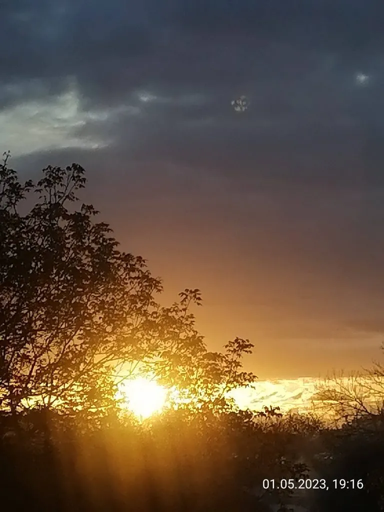 Чайная беседка