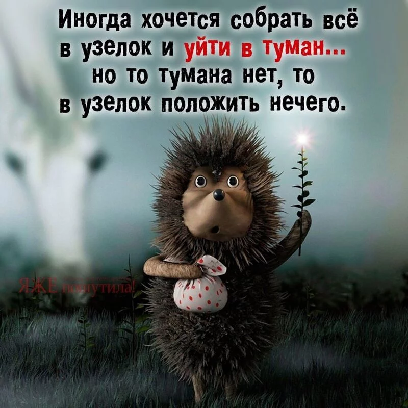 Кафе "У пани Сони"