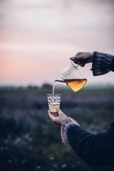 Чайная беседка