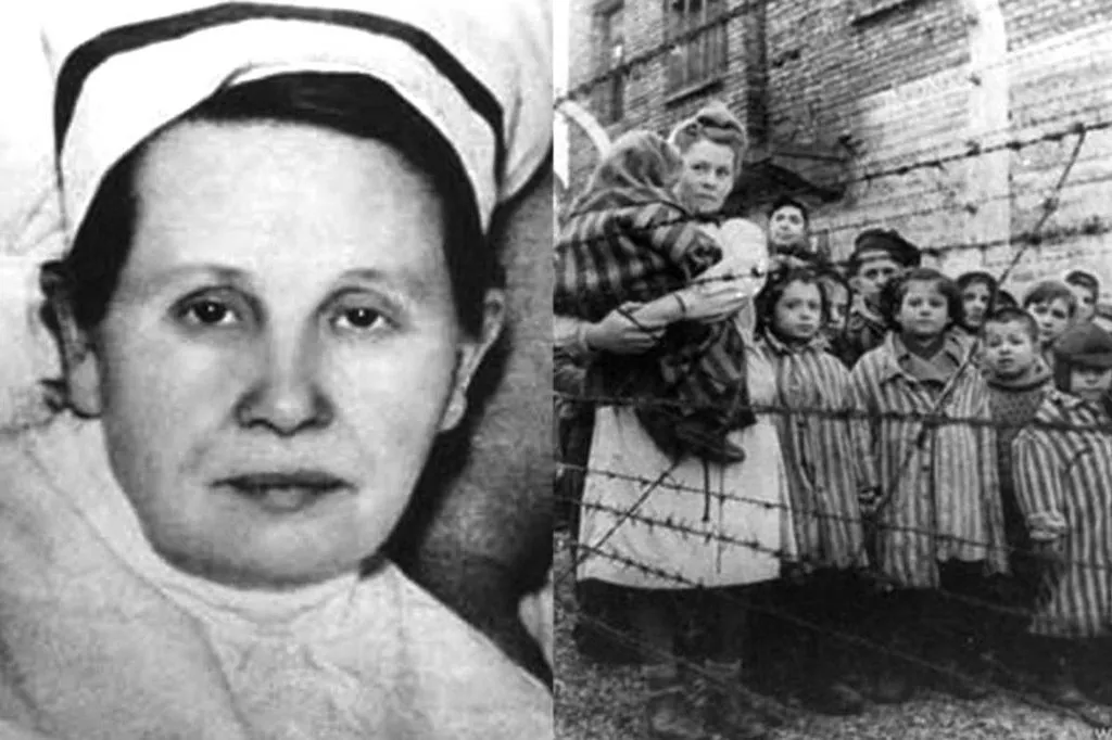 Запечатленная история