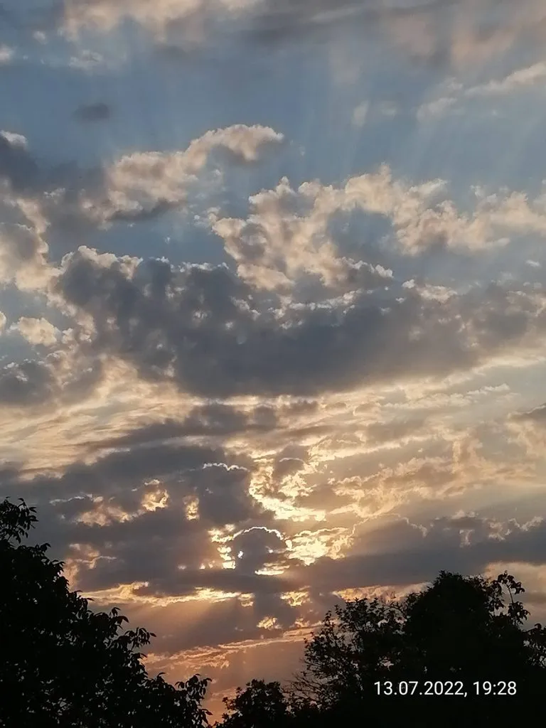 Чайная беседка