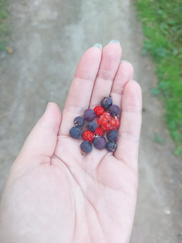 Чайная беседка