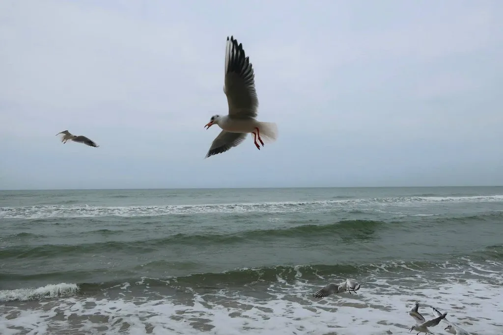 Ну здравствуй, Калининград! 35 лет спустя
