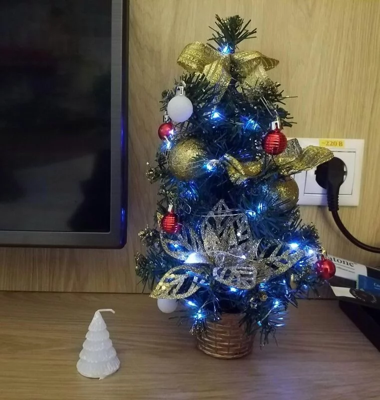 Похвастаемся елками!