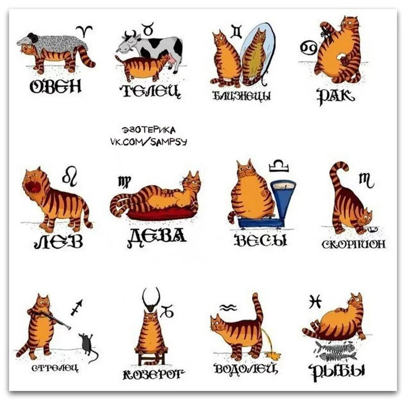 Кто сказал "Мяу"?