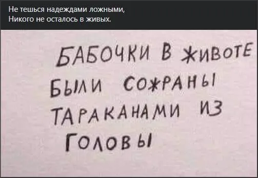Всюду рифмы