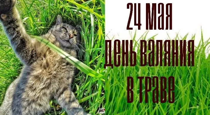 Tapтaлeтки & Ко