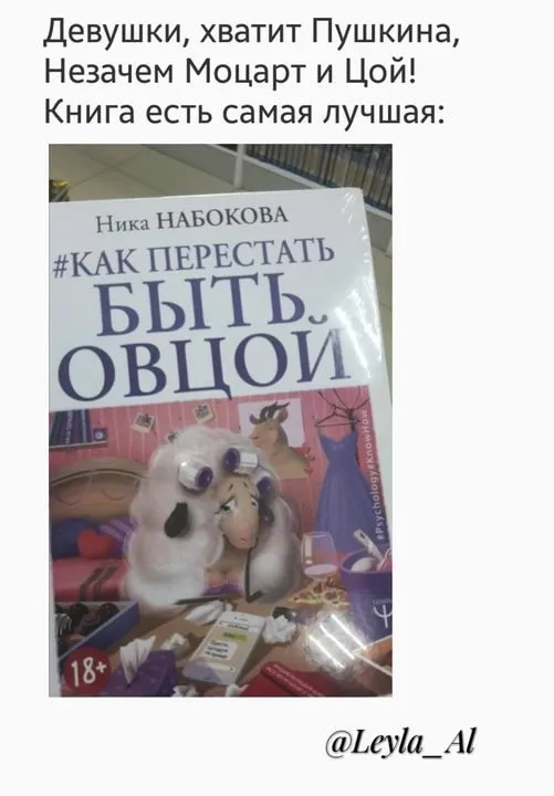 Всюду рифмы