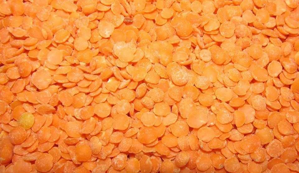 Чудо красной чечевицы
