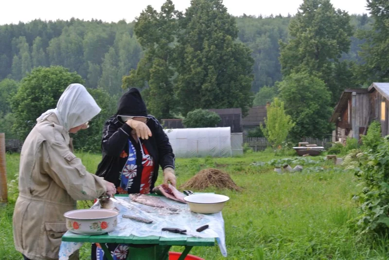 Рыбалка