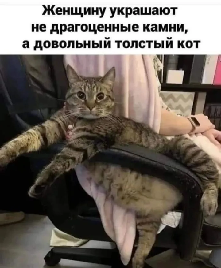 Посмеялся сам - поделись с другом!!!