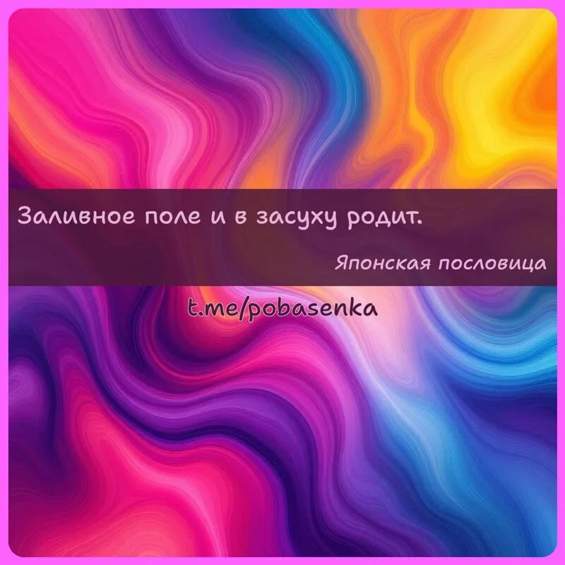 «Заливное поле и в засуху родит...»