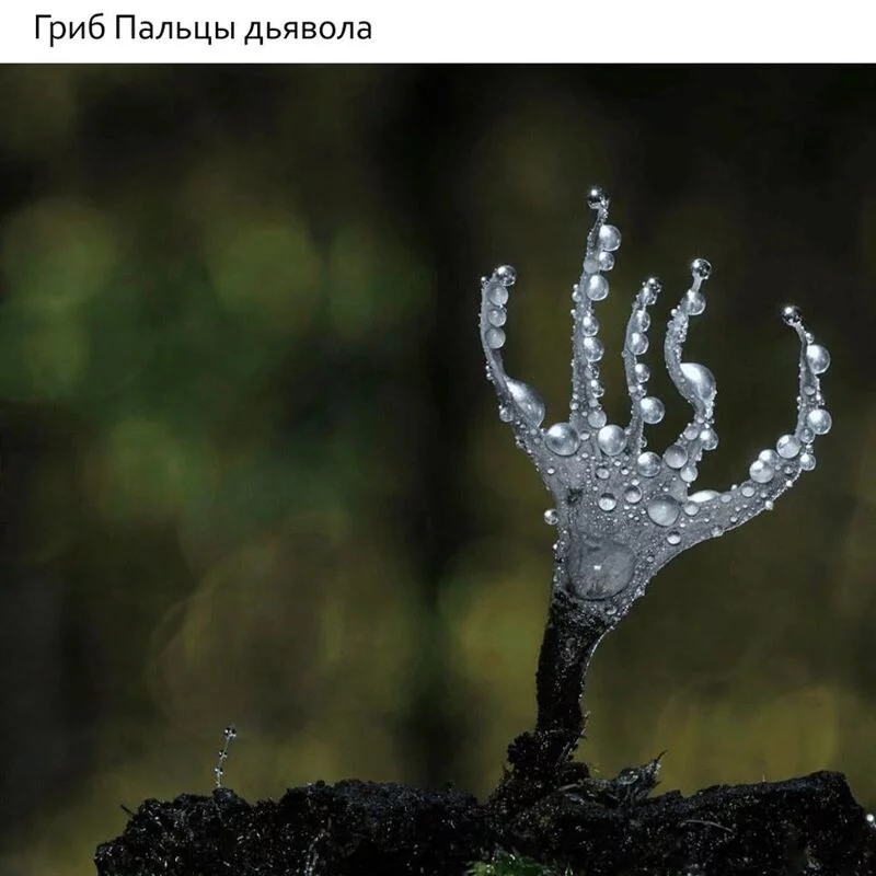 Это интересно!
