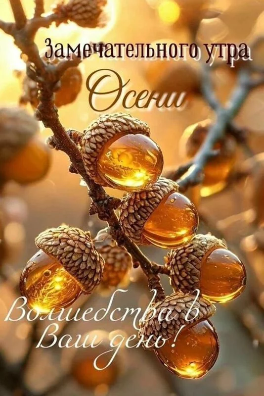 Кафе "У пани Сони"