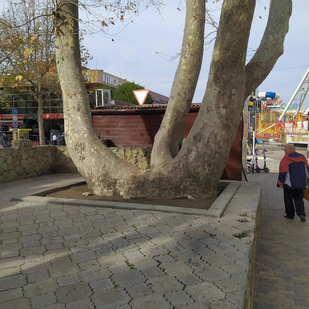 Чайная беседка