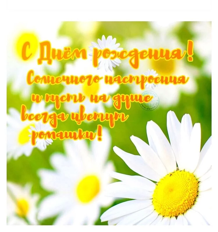 Вышивка крестиком