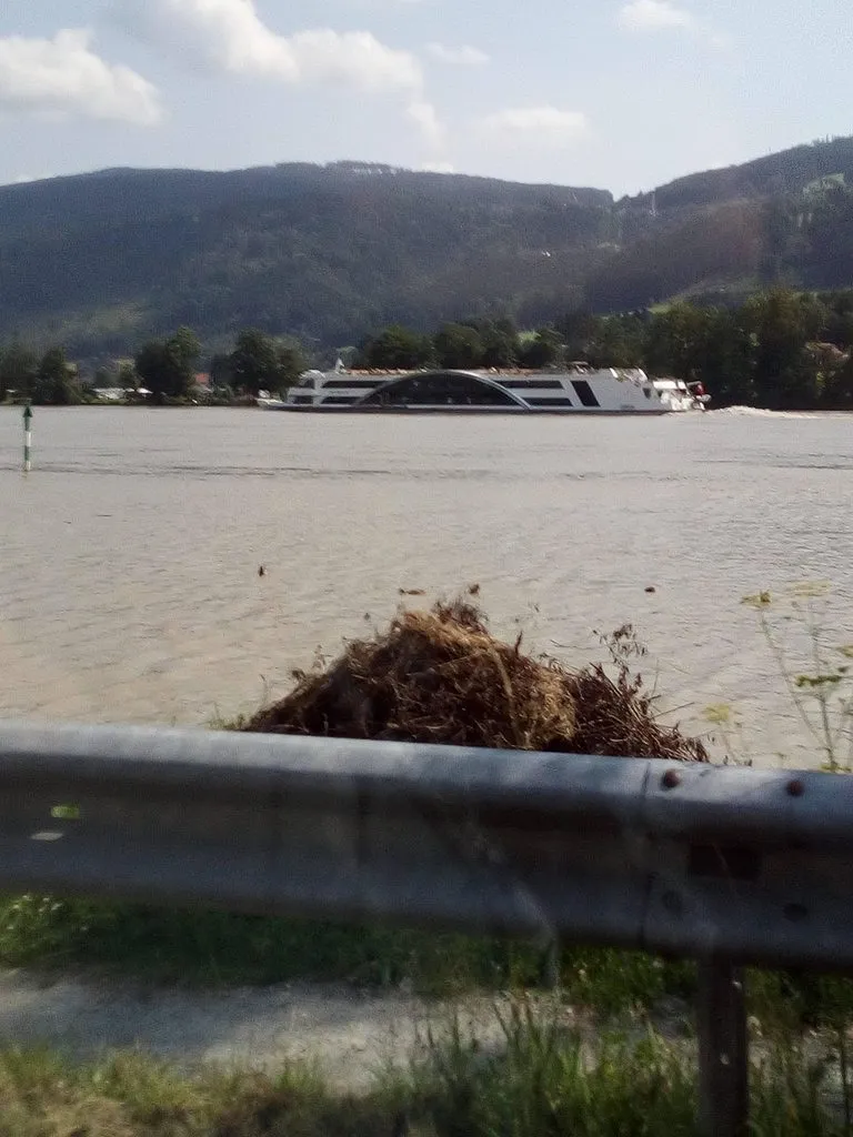 Чайная беседка