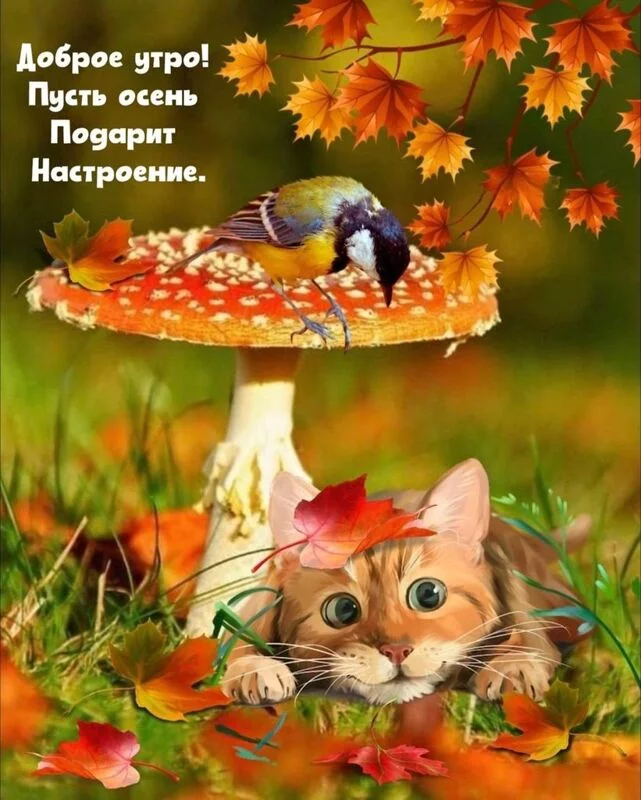 Кафе "У пани Сони"