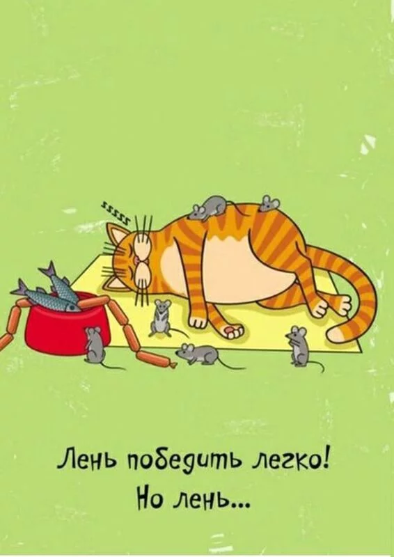 Позитивчик (фото, видео, рассказы для хорошего настроения)