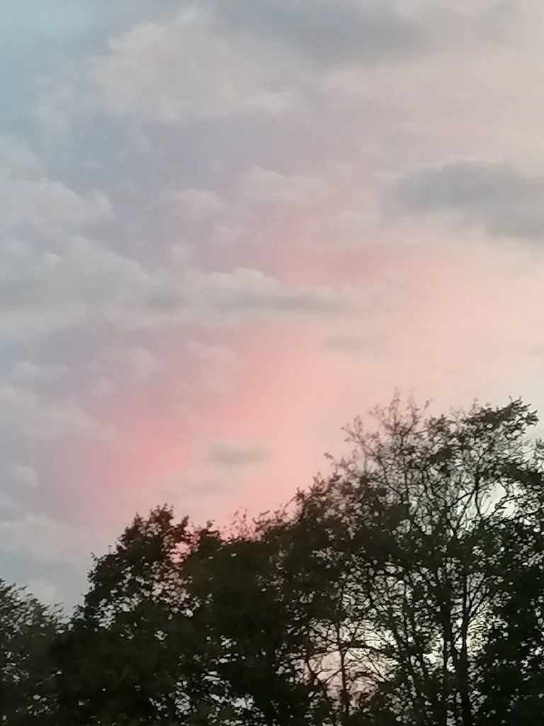 Такое разное небо