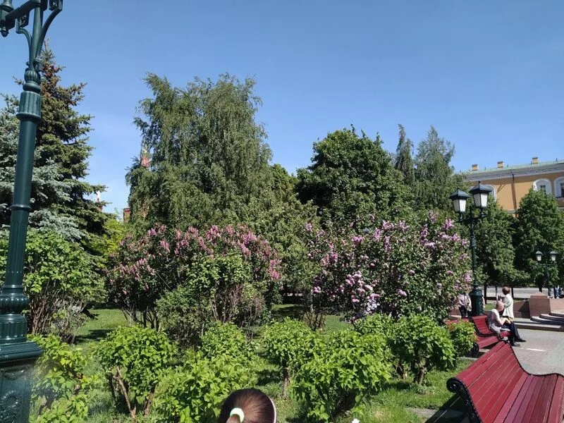 Что в Москве слышно? 
