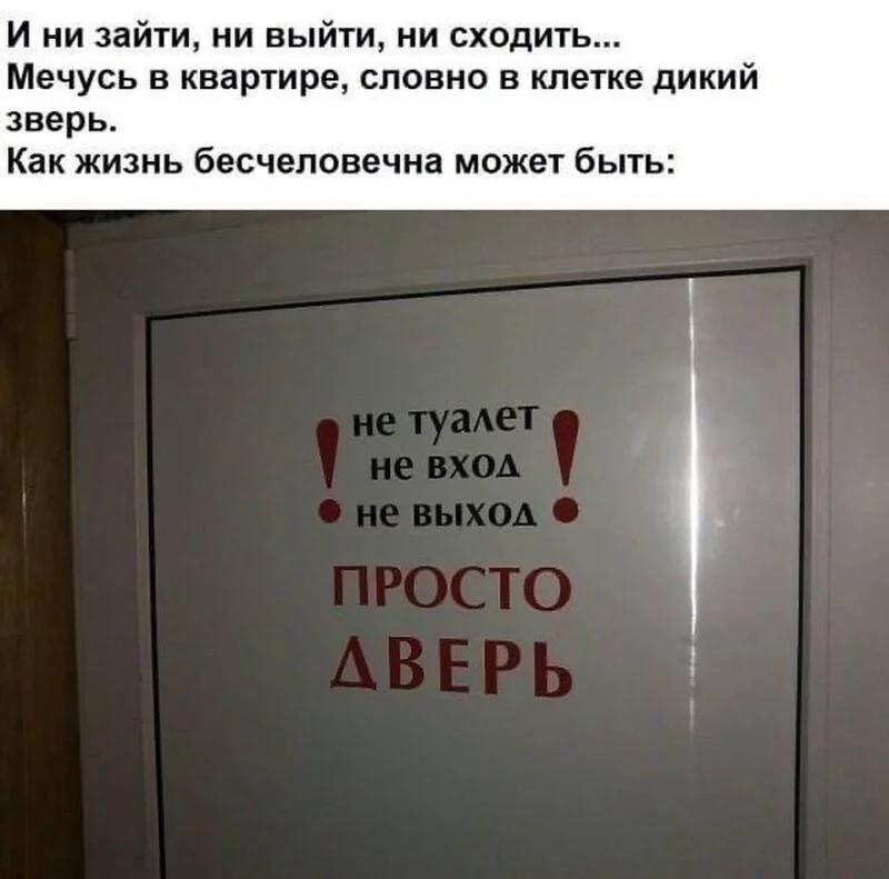 Всюду рифмы