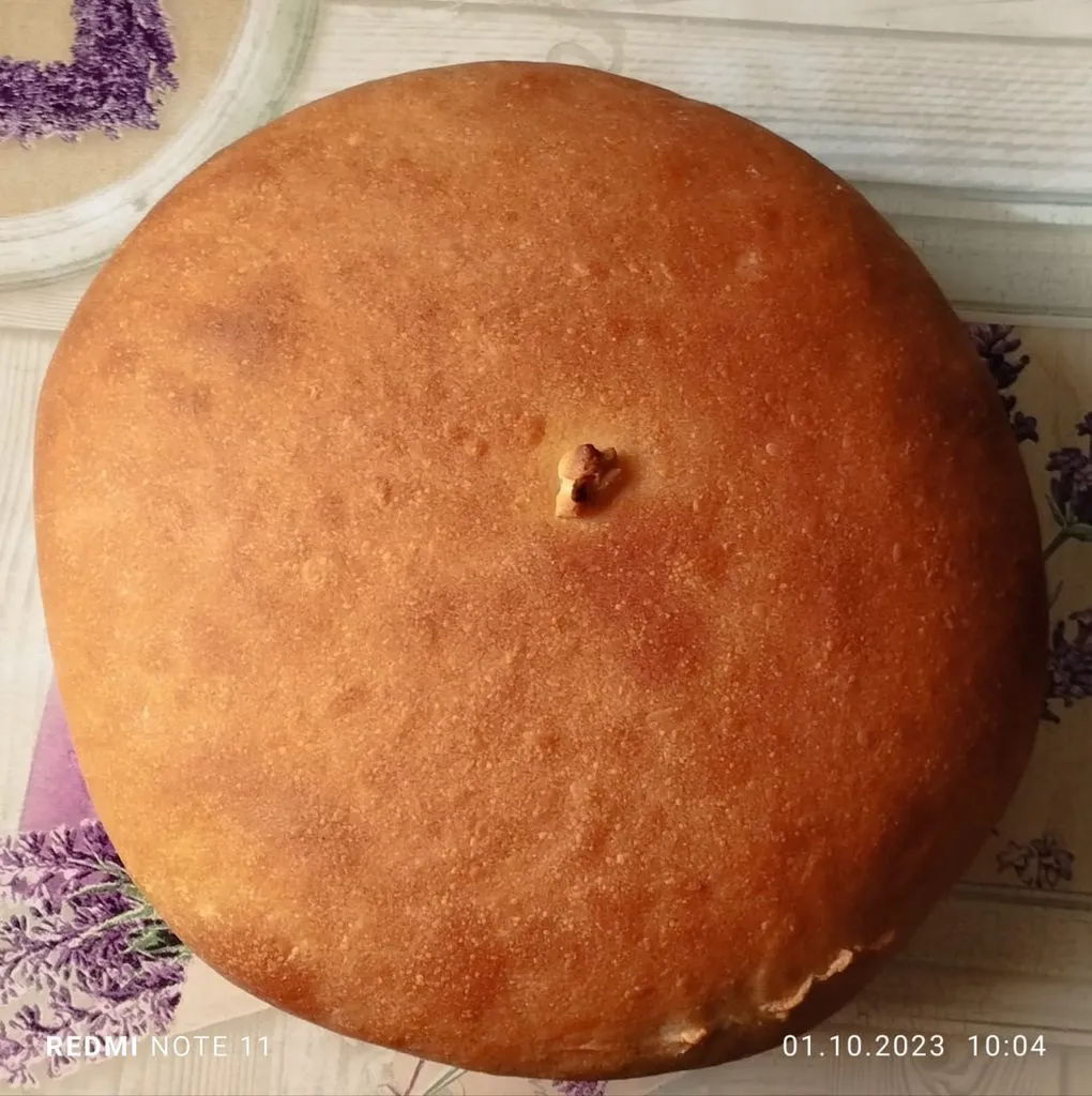 Tapтaлeтки & Ко
