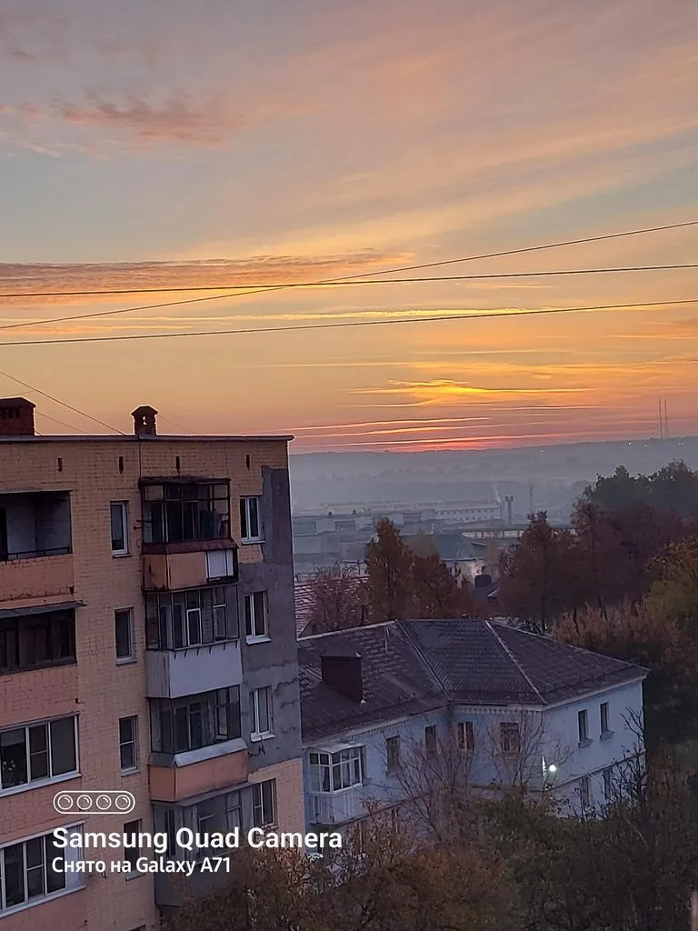 Tapтaлeтки & Ко