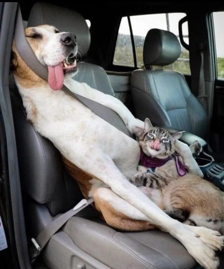 Посмеялся сам - поделись с другом!!!