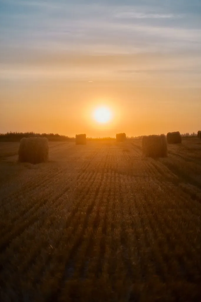 Такое разное небо