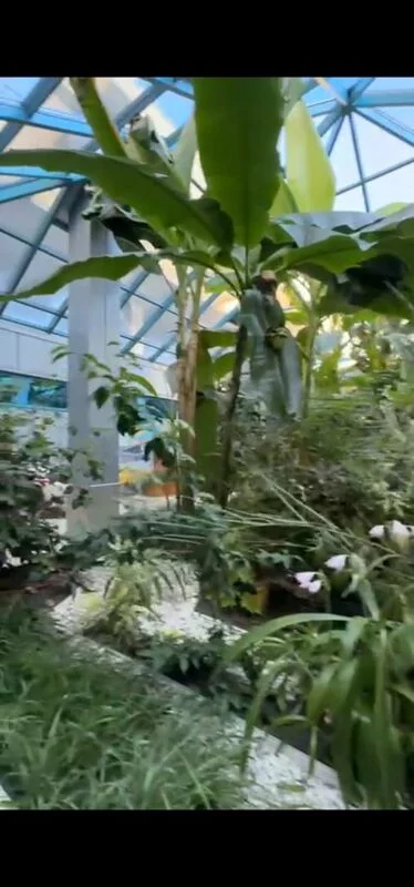 Чайная беседка