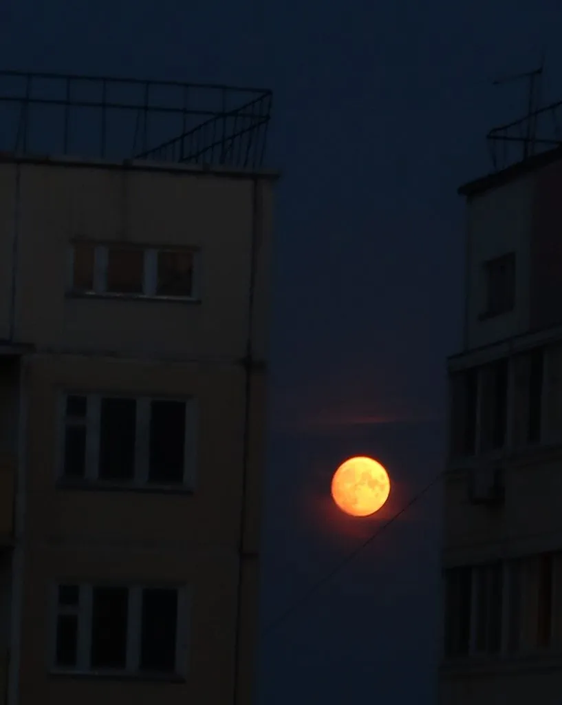 Фотонастроение