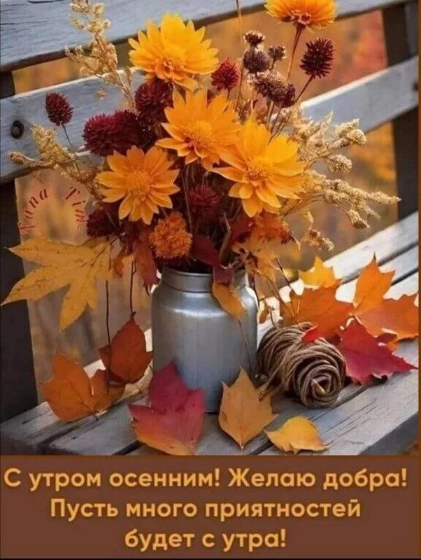 Кафе "У пани Сони"