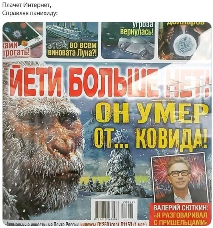 Всюду рифмы