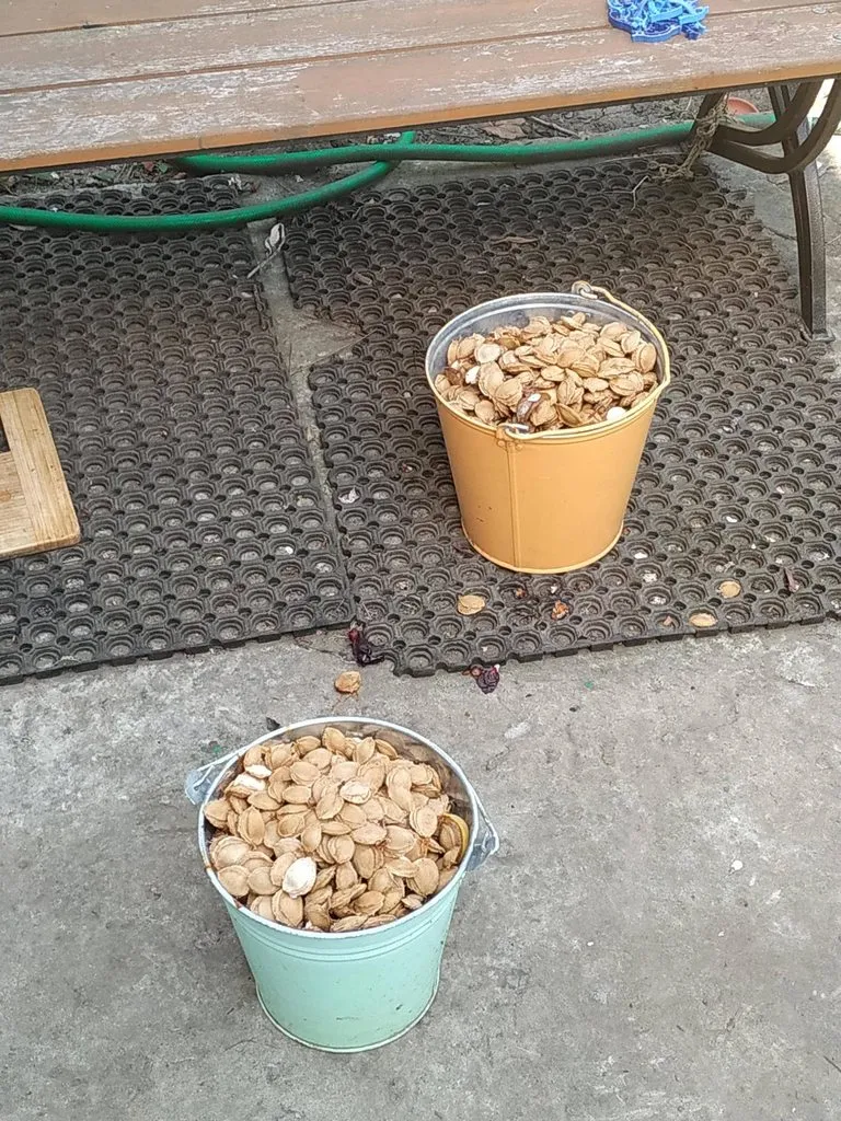 Чайная беседка