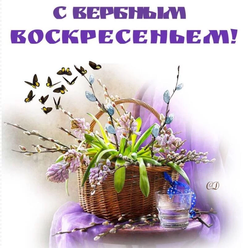 Tapтaлeтки & Ко