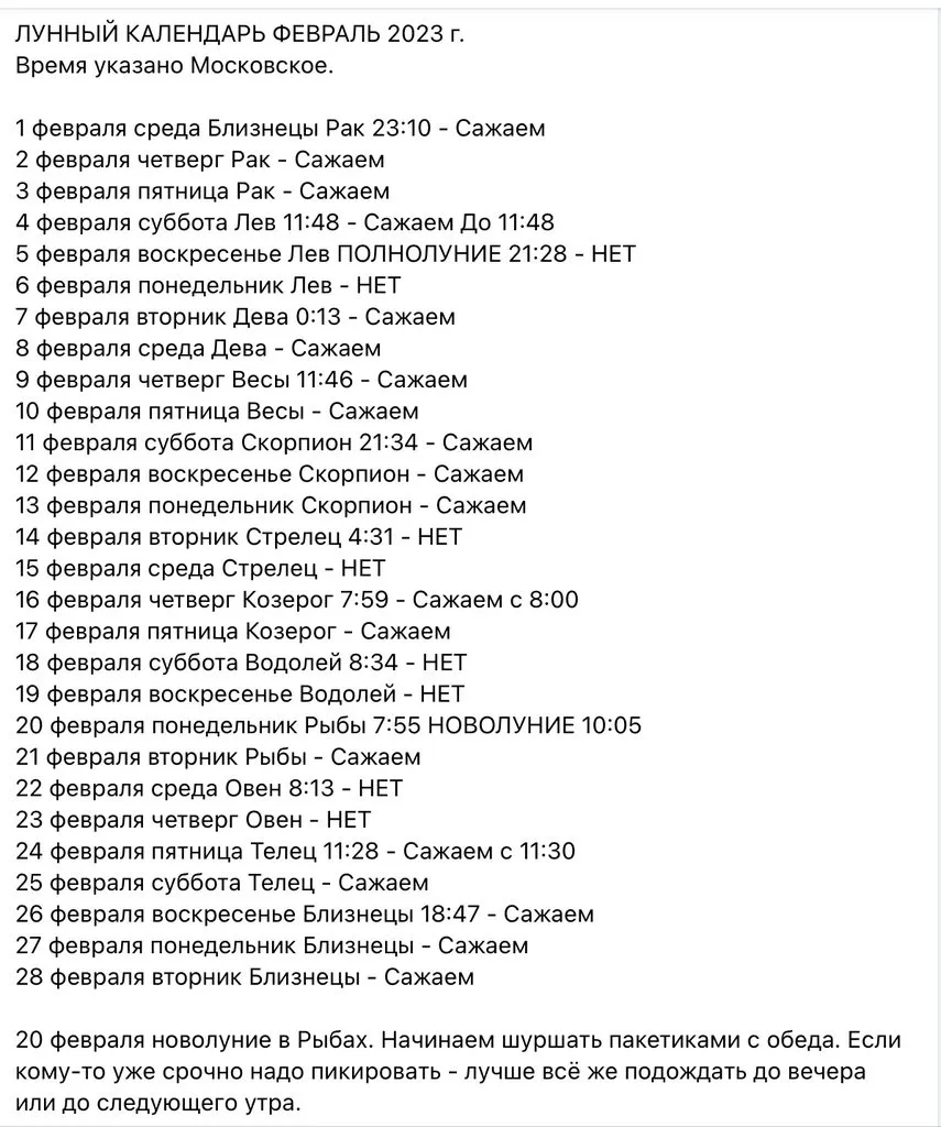Сажаем, растим, собираем урожай…