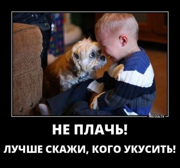 Посмеялся сам - поделись с другом!!!