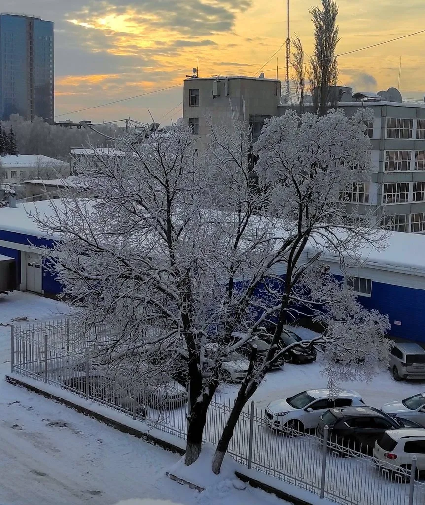 Чайная беседка