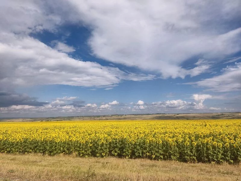 Такое разное небо