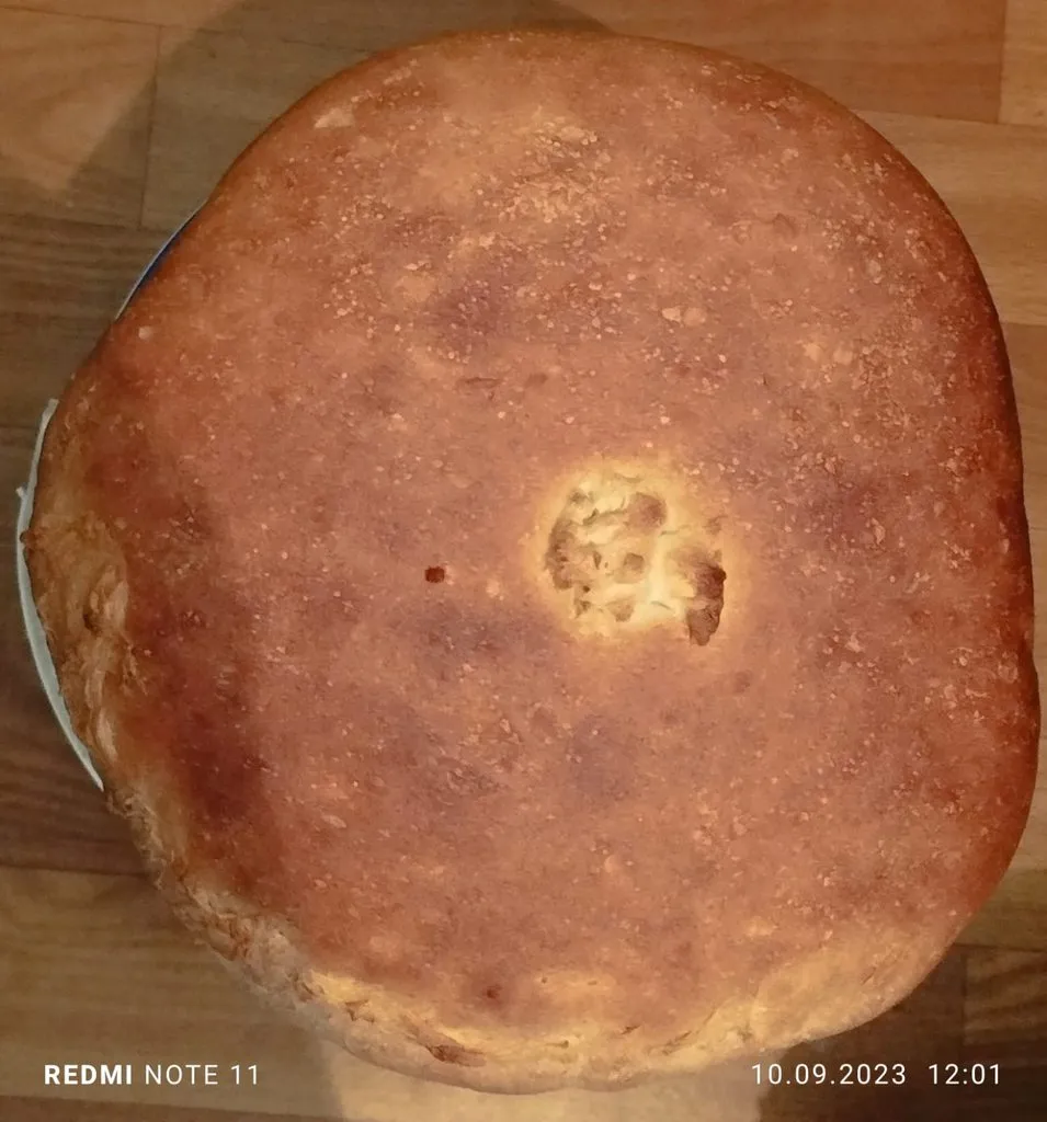 Tapтaлeтки & Ко