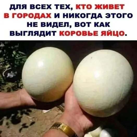 Посмеялся сам - поделись с другом!!!