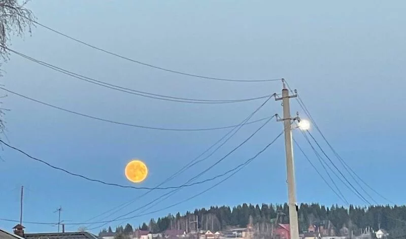 Такое разное небо