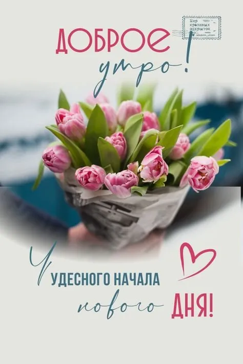 Tapтaлeтки & Ко