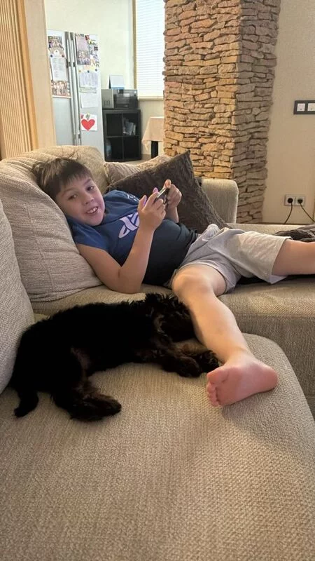 Чайная беседка