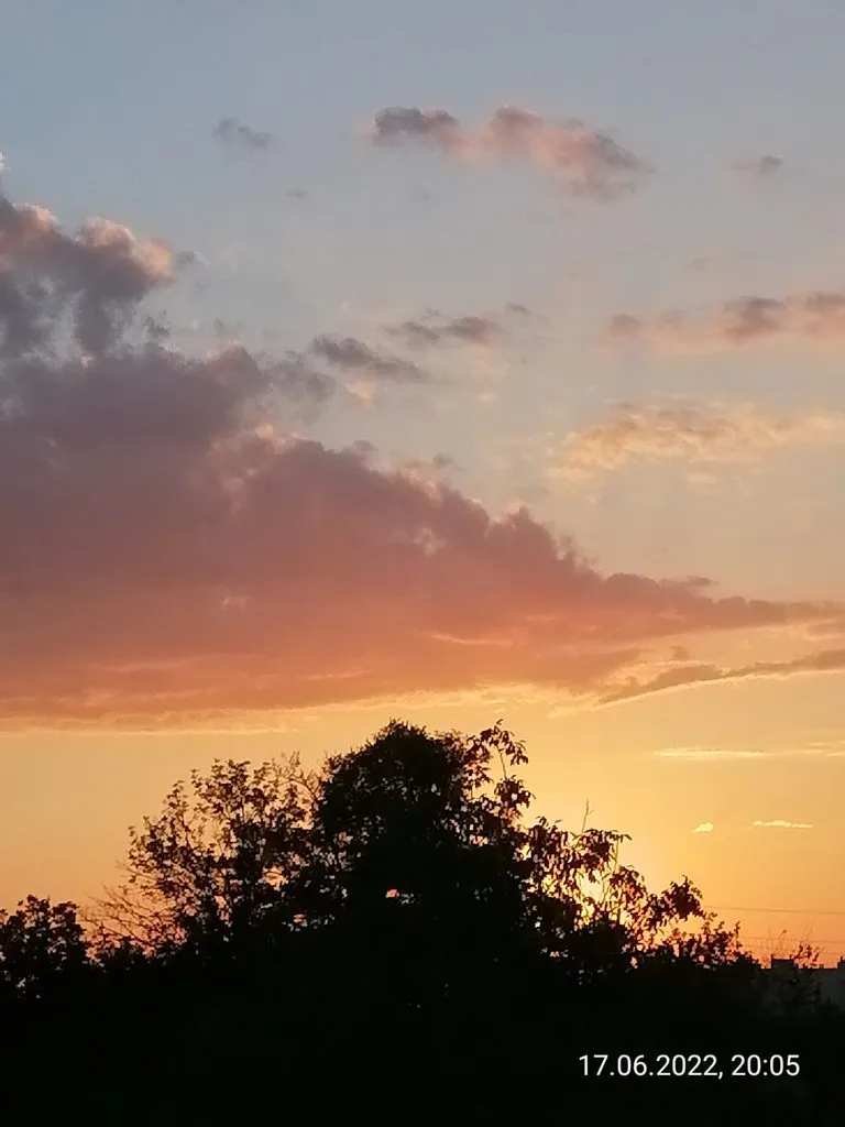 Чайная беседка