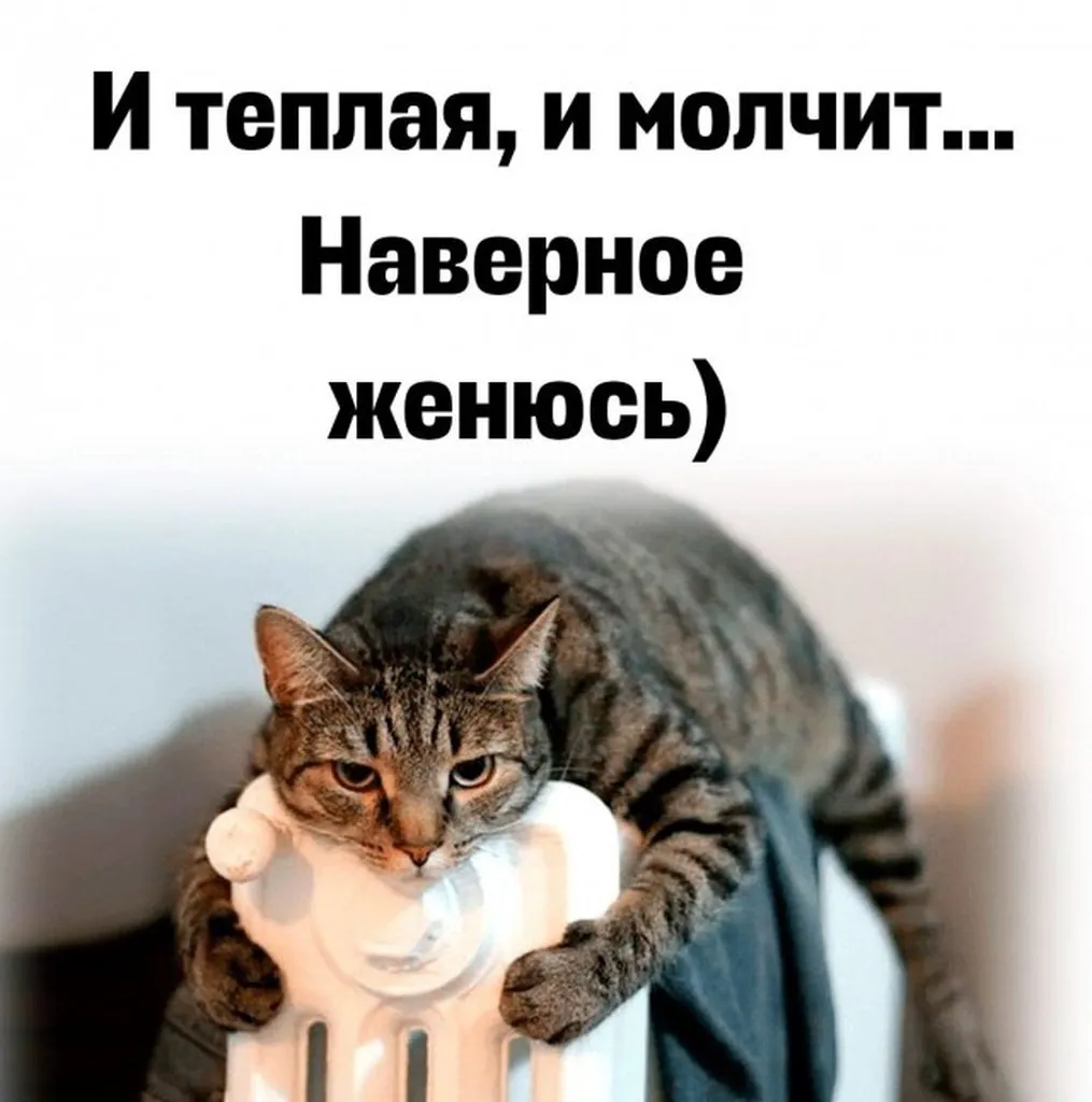 Посмеялся сам - поделись с другом!!!