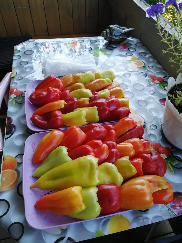 Перец сладкий вяленый в духовке, в ароматном масле