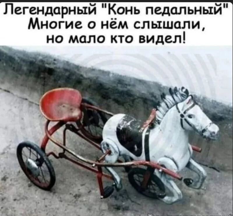 Назад в ХХ век... Вспомнить всё!