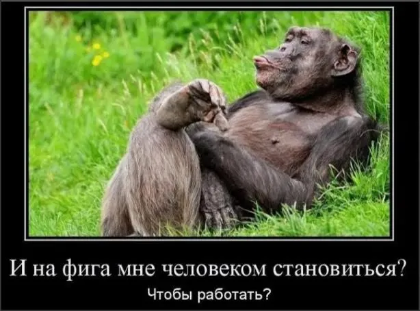 Работающая жена  – позор для мужа
